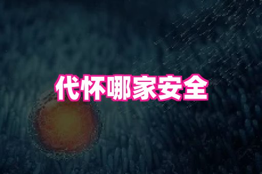 swisee孕网 1
