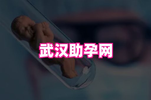 swisee孕网 3