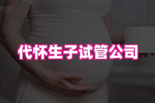swisee孕网 4